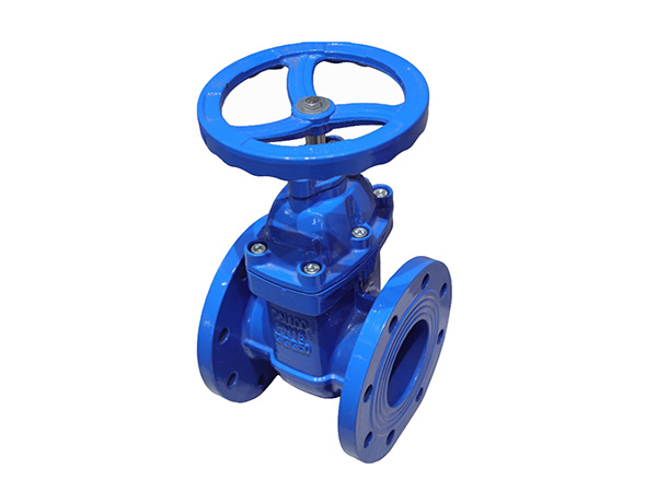 Threaded resilient seated gate valve applicable nominal diameter range