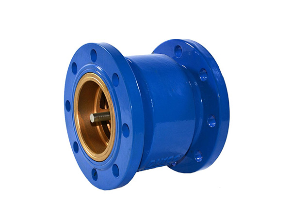 Backflow Preventer Valve