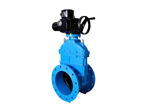 Electric Gate Valve