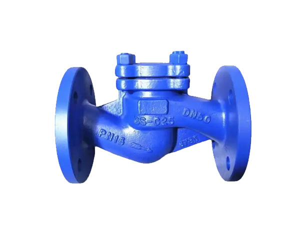 Lift Check Valve