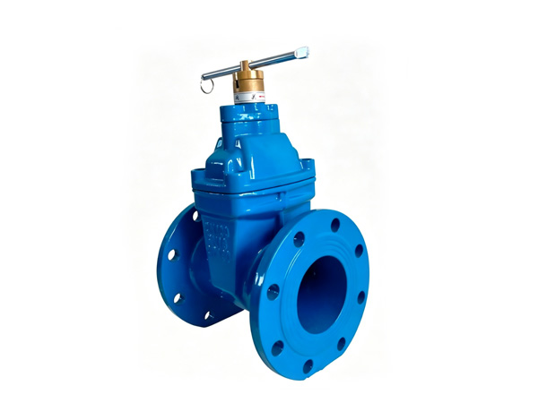 Locking hard seal gate valve