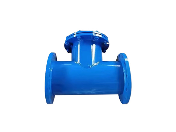 T Type Strainer