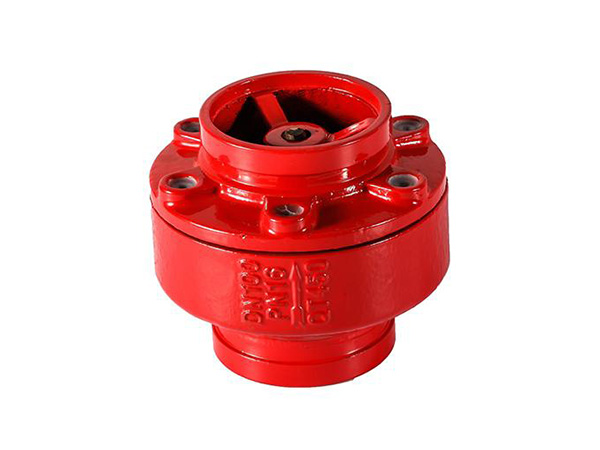 Fire Fighting Check Valve