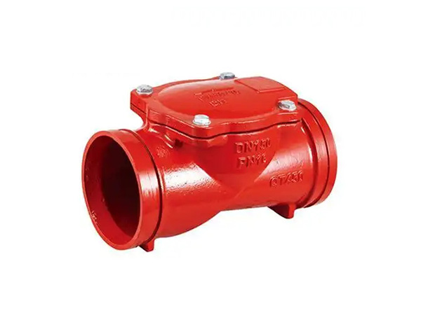 Grooved End Check Valve